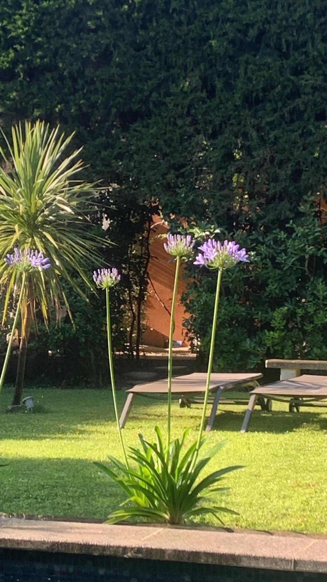 La Demeure Bed & Breakfast Eyguières Екстериор снимка